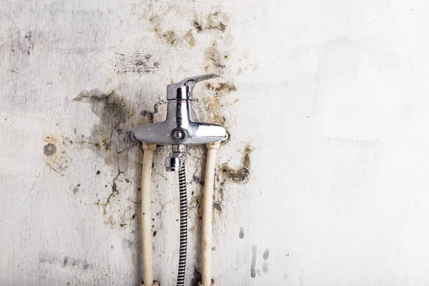 Home Mold Removal in Cave Junction, OR