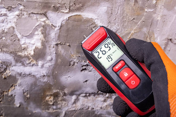 Mold Removal and Inspection in Cave Junction, OR