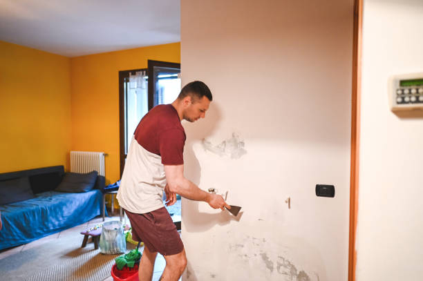 Professional Mold Removal in Cave Junction, OR